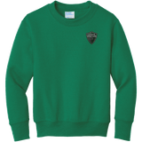 Lansing Spartans Youth Core Fleece Crewneck Sweatshirt