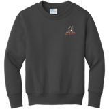 Danbury Hat Tricks Youth Core Fleece Crewneck Sweatshirt